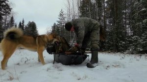 ОНИ НЕ ЗНАЛИ ЧТО ИХ ЖДЁТ В ДИКОМ ЛЕСУ. БЕЗБАШЕННЫЙ ПОХОД К ДИКОМУ ОЗЕРУ. ЛЕШИЙ ЗАВЁЛ В ГЛУШЬ