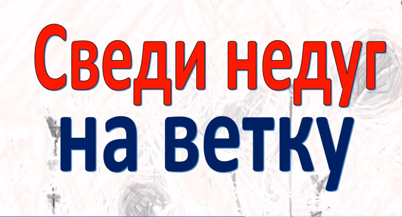 Как избавиться от болей в спине. Сведи недуг на ветку. Народные советы