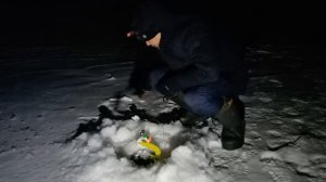 Поиск налима на реке ИШИМ. Зимняя рыбалка из архива