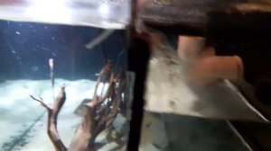 Перелив дюрсо работа