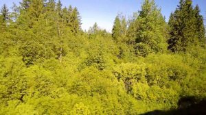 Поездка на ЭС1 "Ласточка". Санкт-Петербург Балтийкий - Луга.