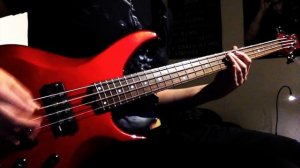 Slayer - Raining Blood (bass cover)