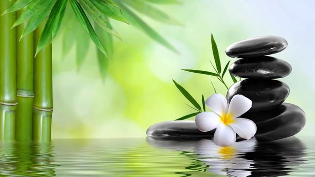 Призовите свою родственную Душу .Практика смотреть онлайн