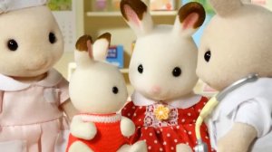 Игровой набор Sylvanian Families - Больница