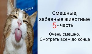 Смешные, забавные животные. 
5 - часть.
 Очень смешно. Смотреть всем до конца