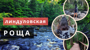 Интересные места Ленинградской области: Линдуловская роща
