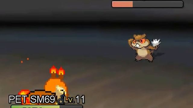 Poketale/Trainertale Full ||Undertale Au|| смотреть онлайн