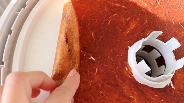 Абрикосовая пастила, сушки из черешни и обзор сушилки ВОЛТЕРА-1000 в работе смотреть онлайн