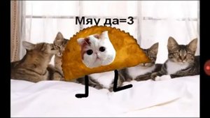 Песня про беляша