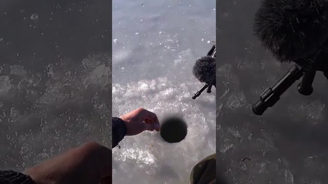 t fishing swivels @Fishing apparel #Fishing expedition @Fishing event genshin #Fishing lure смотреть онлайн