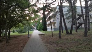 Ещё одна прогулка по парку базы отдыха МО Бетта