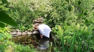 Дачные хитрости - вы такое не видели! Как замаскировать бочки в саду? Как спрятать шланги? Легко!