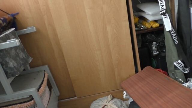 ГУЛЯЕМ С ШУШЕЙ И ХАЮШКОЙ /СВЕРХПРЫГУЧАЯ ШИНШИЛЛА смотреть онлайн