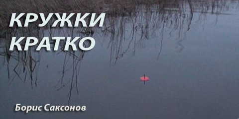"КРУЖКИ. КРАТКО"