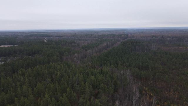 Радоновое озеро в Сестрорецке смотреть онлайн