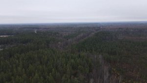 Радоновое озеро в Сестрорецке