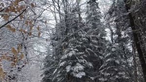 Springtime snow in Northern Vermont- Music-Springtime snow by Mark C. Helton 2020