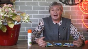 Почему желтеют листья гортензий ? ? Болезни гортензий