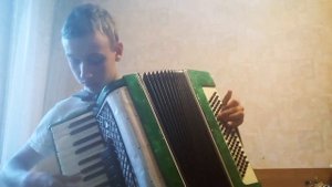 Сектор газа - «КОЛХОЗНЫЙ ПАНК», на аккордеоне| 😃🔥#рекомендации #песня #сектор_газа
