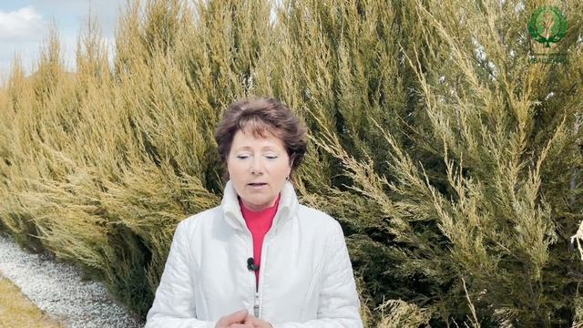 Кормление роз. Питомник ? и ? Е. Иващенко смотреть онлайн