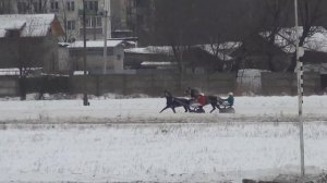 Раменский ипподром. 04.02.14. ПРИЗ ИМЕНИ ВНИИК
