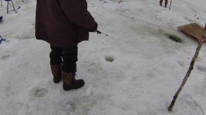 А  в Подмосковье Ловятся (Водопад)