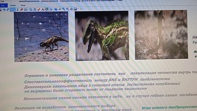 4 4  палеоАнтропология  разные разности  плезиадацис тарзиус оррорин   эмбрион внутри/вне  тела