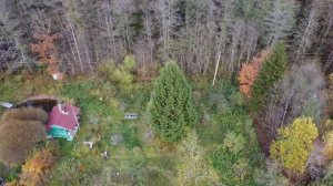 СОТ Соковая