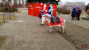 НОВОГОДНИЕ ПРОГУЛКИ ПО АСТРАХАНИ 2017 год. АСТРАХАНЬ НОВОГОДНЯЯ