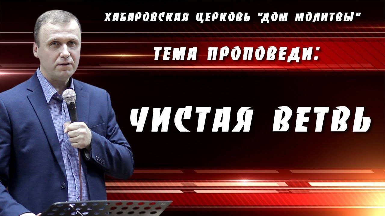 "Чистая ветвь" // 16.06.2024