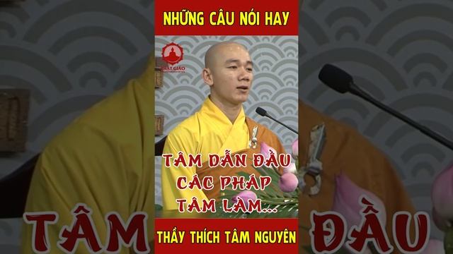 Tâm dẫn đầu các pháp, Tâm làm chủ tâm tạo... Những câu nói hay của Thầy Thích Tâm Nguyên | PGVN