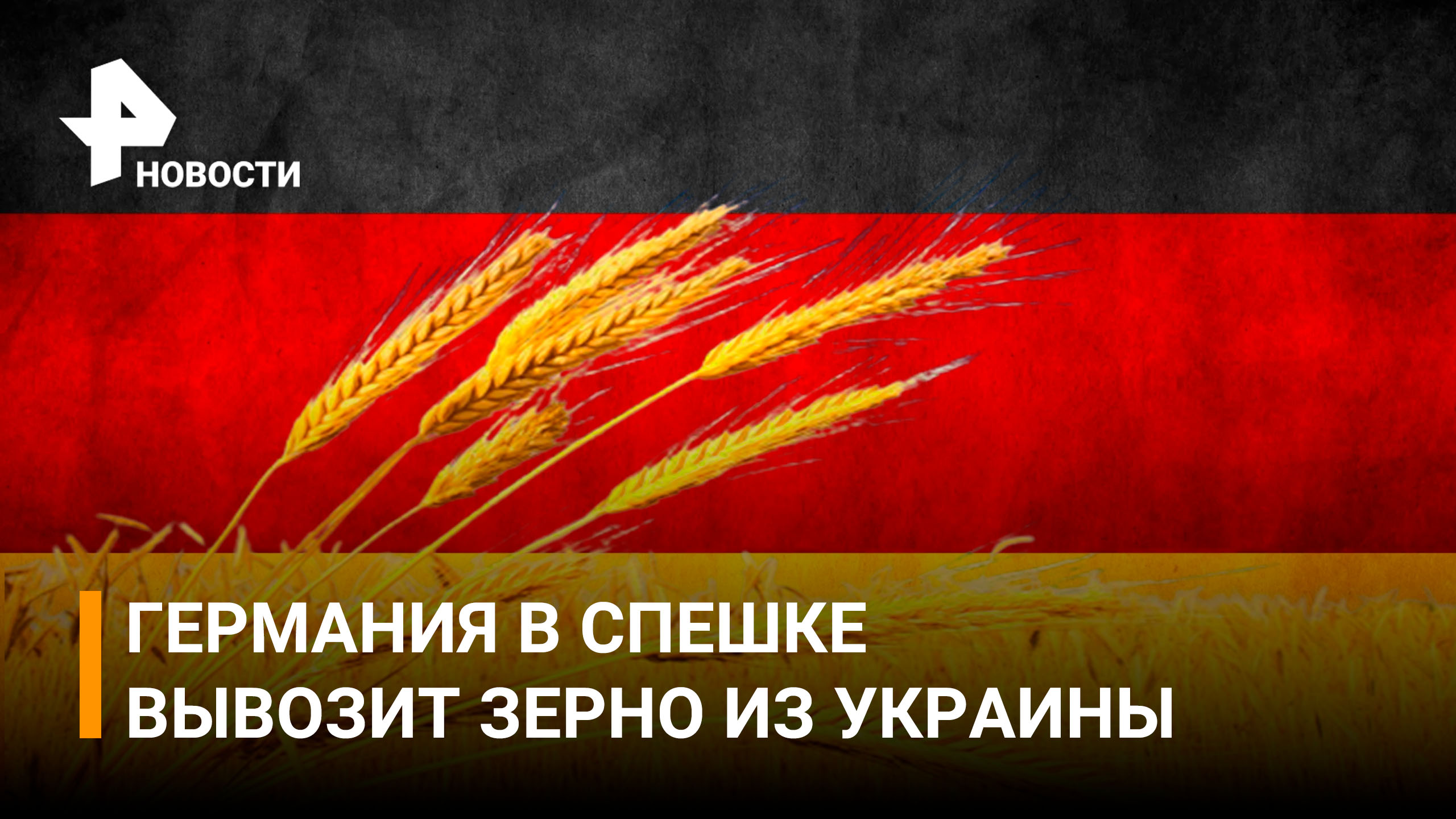 Злачное время: Германия наращивает темпы вывоза зерна из Украины / РЕН новости