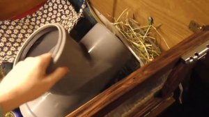 Игрушки для морских свинок