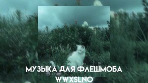 музыка для флешмоба| рандомные песни из тик тока #музыкадляфлешмоба #рек #рекомендации