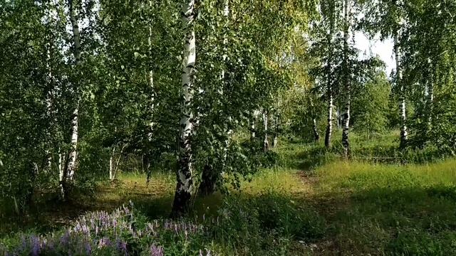 9 июня. ФЕДОРИН ДЕНЬ.Обряды, народные приметы, ритуалы, традиции, заговоры