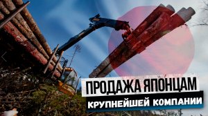 Москва одобрила продажу японцам крупнейшей лесной компании на Дальнем Востоке