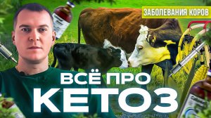 Все про кетоз.