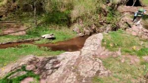 Весенняя прогулка в горах. Интересные находки. Болгария. What can be found in the forest, Bulgaria