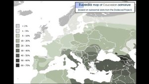 Динарский антропологический тип | Антропологический типы Европы