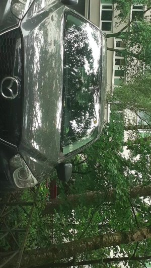 Санкт Петербург онлайн