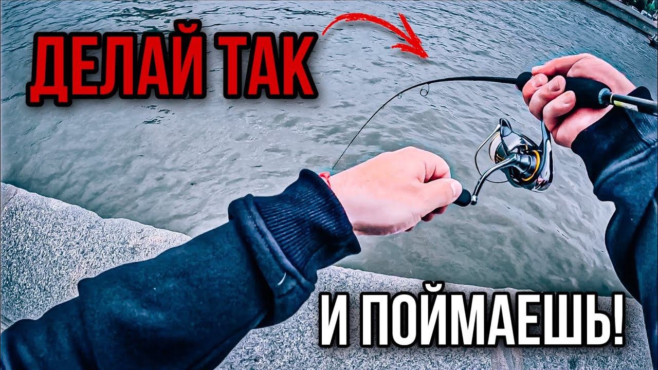 РАССЕКРЕЧЕНА самая ЭФФЕКТИВНАЯ ПРОВОДКА / трудовая РЫБАЛКА в городе