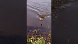 Рыбалка в Большой Каменке.
