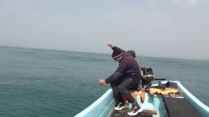 Ловля минтая. Рыбалка на минтая. Минтай 2022.минтай с лодки.ловля минтая в Приморье