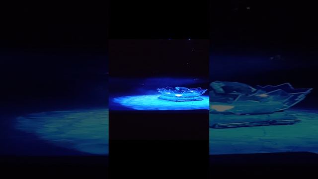 СУПЕР ПУПЕР ЖОНГЛЕР