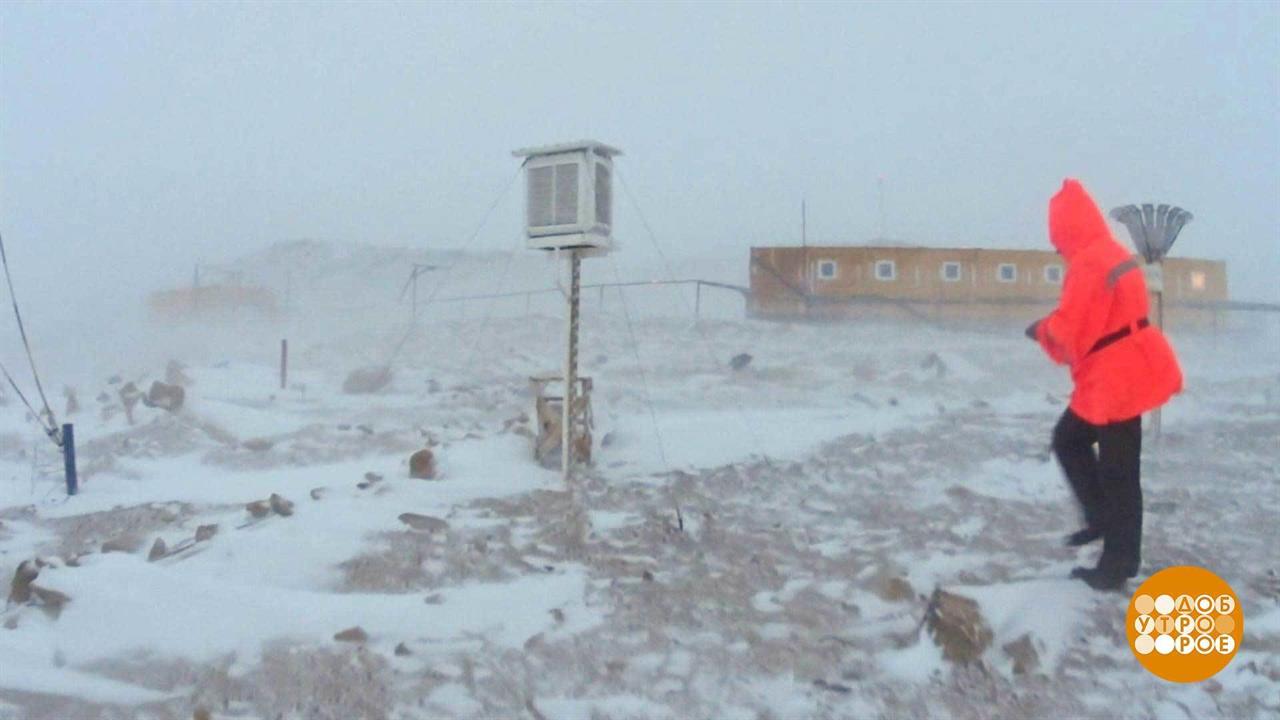 Где делают погоду? Доброе утро. Фрагмент выпуска от 23.03.2020