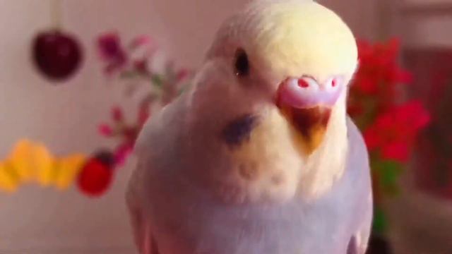 🎀РУЧНАЯ🐥ДЕВОЧКА🌸МАУВ🌑 смотреть онлайн