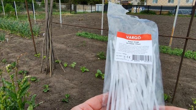 ??САМЫЙ ПРОСТОЙ  И НЕЗАТРАТНЫЙ СПОСОБ ПОДВЯЗКИ ВЫСОКОРОСЛЫХ РАСТЕНИЙ
