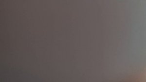 дельфинарий