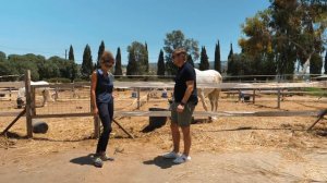 Пафос, Корал Бэй (Coral Bay). Лучшие места и рекомендации. Кипр 2021