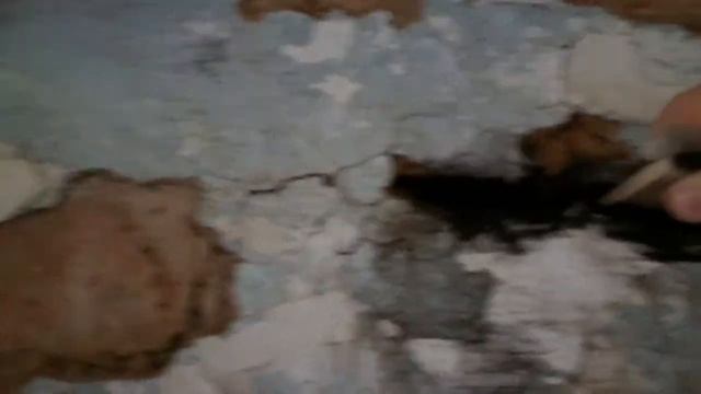 Лайфак Как прочитать заслонки в печи чтобы протопить